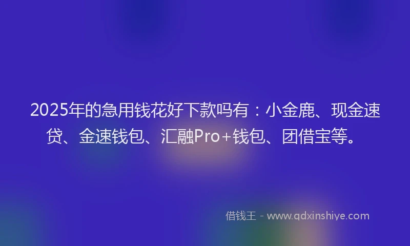 2025年的急用钱花好下款吗有：小金鹿、现金速贷、金速钱包、汇融Pro+钱包、团借宝等。