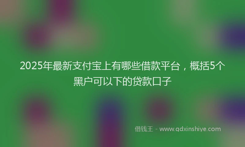 2025年最新支付宝上有哪些借款平台，概括5个黑户可以下的贷款口子