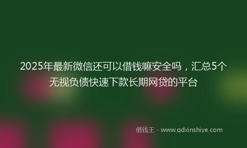 2025年最新微信还可以借钱嘛安全吗，汇总5个无视负债快速下款长期网贷的平台