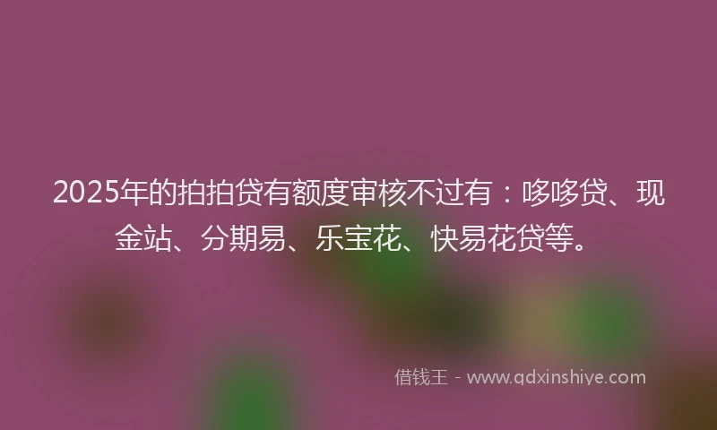 2025年的拍拍贷有额度审核不过有：哆哆贷、现金站、分期易、乐宝花、快易花贷等。
