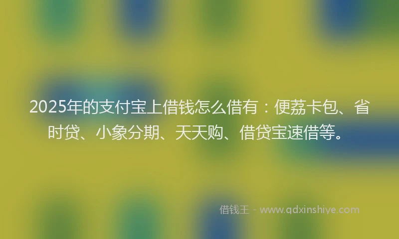 2025年的支付宝上借钱怎么借有：便荔卡包、省时贷、小象分期、天天购、借贷宝速借等。