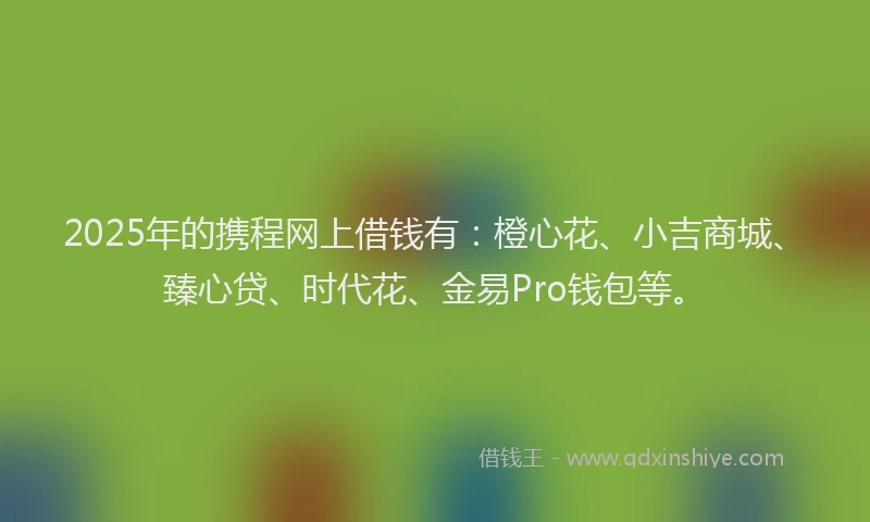 2025年的携程网上借钱有：橙心花、小吉商城、臻心贷、时代花、金易Pro钱包等。
