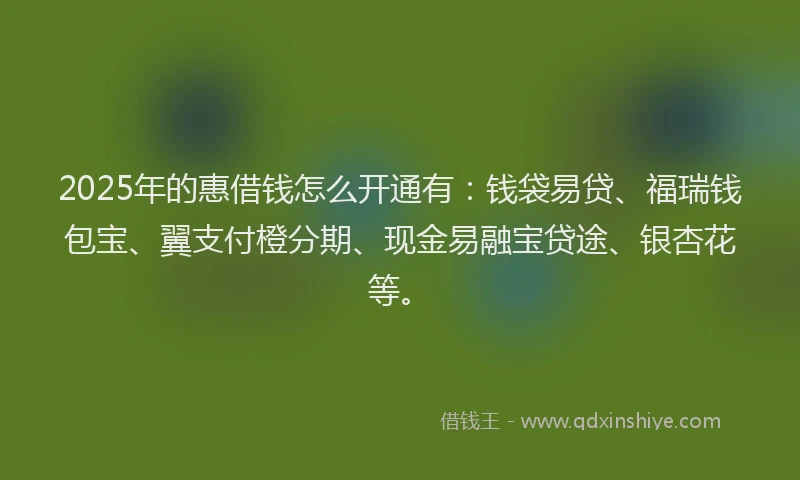 2025年的惠借钱怎么开通有：钱袋易贷、福瑞钱包宝、翼支付橙分期、现金易融宝贷途、银杏花等。