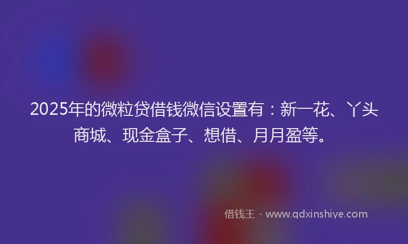 2025年的微粒贷借钱微信设置有：新一花、丫头商城、现金盒子、想借、月月盈等。