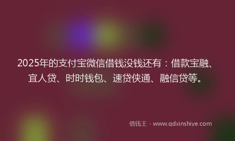 2025年的支付宝微信借钱没钱还有：借款宝融、宜人贷、时时钱包、速贷侠通、融信贷等。