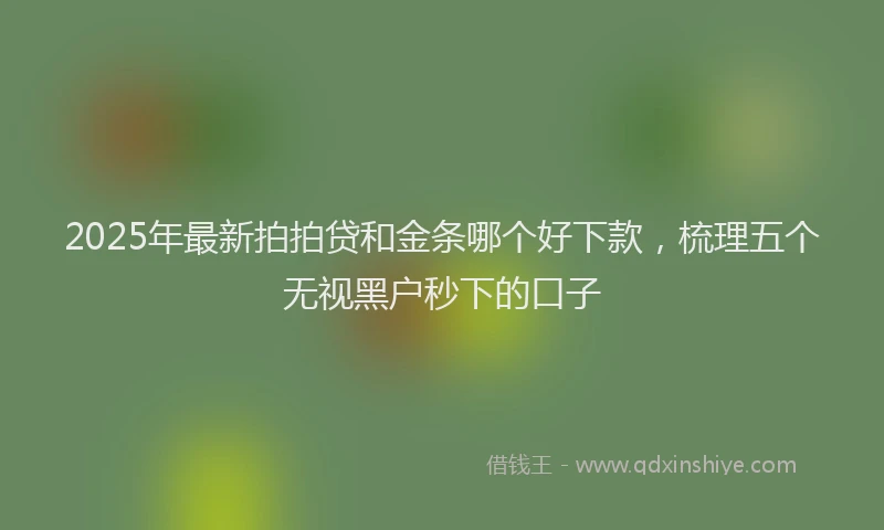 2025年最新拍拍贷和金条哪个好下款，梳理五个无视黑户秒下的口子