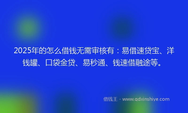 2025年的怎么借钱无需审核有：易借速贷宝、洋钱罐、口袋金贷、易秒通、钱速借融途等。