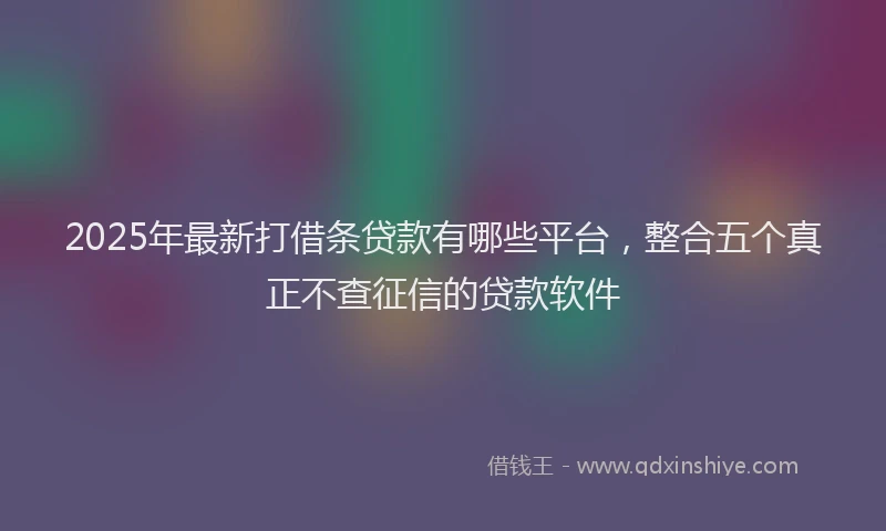 2025年最新打借条贷款有哪些平台，整合五个真正不查征信的贷款软件