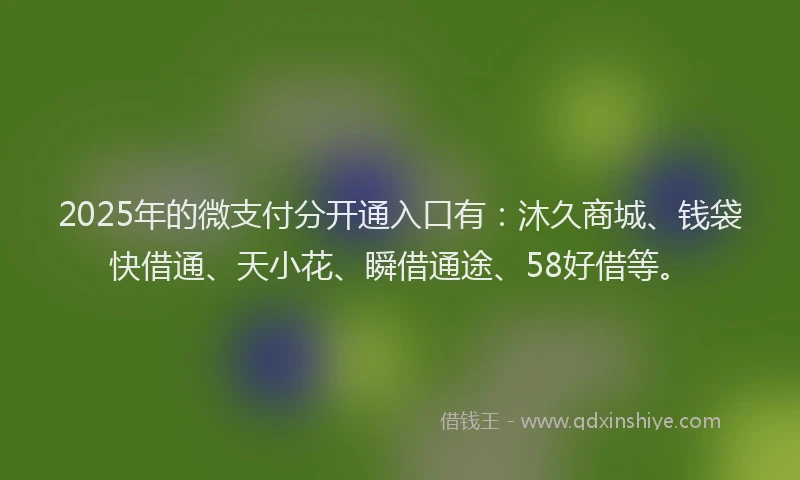 2025年的微支付分开通入口有：沐久商城、钱袋快借通、天小花、瞬借通途、58好借等。