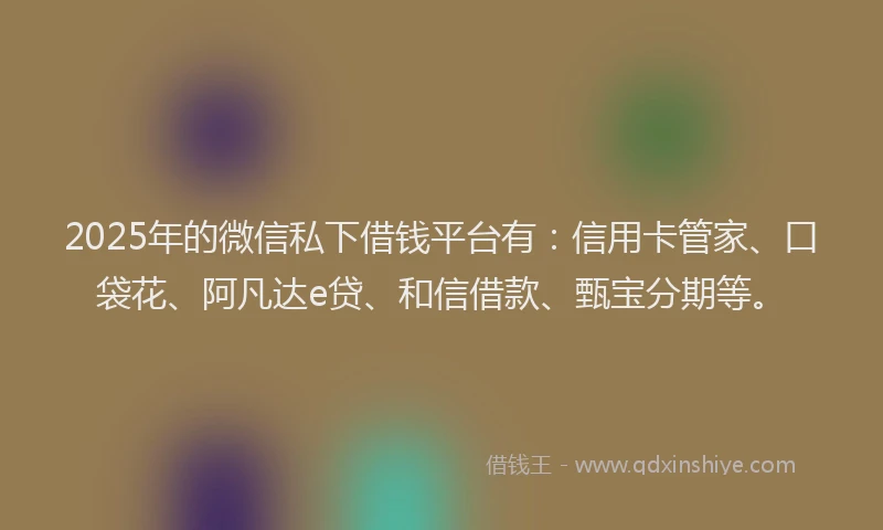 2025年的微信私下借钱平台有：信用卡管家、口袋花、阿凡达e贷、和信借款、甄宝分期等。