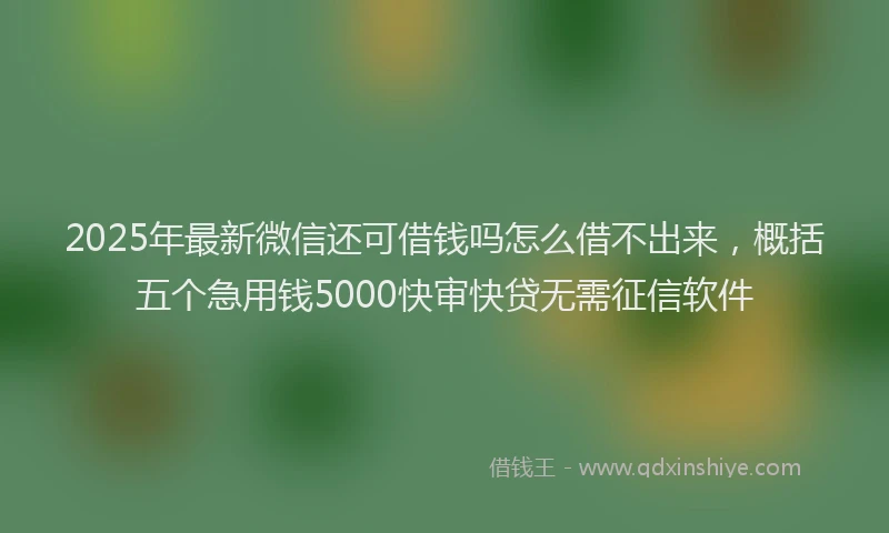 2025年最新微信还可借钱吗怎么借不出来，概括五个急用钱5000快审快贷无需征信软件