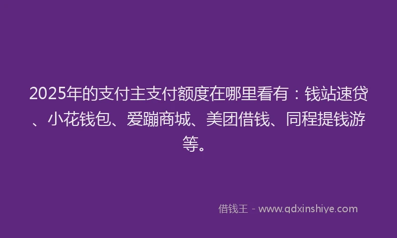 2025年的支付主支付额度在哪里看有：钱站速贷、小花钱包、爱蹦商城、美团借钱、同程提钱游等。