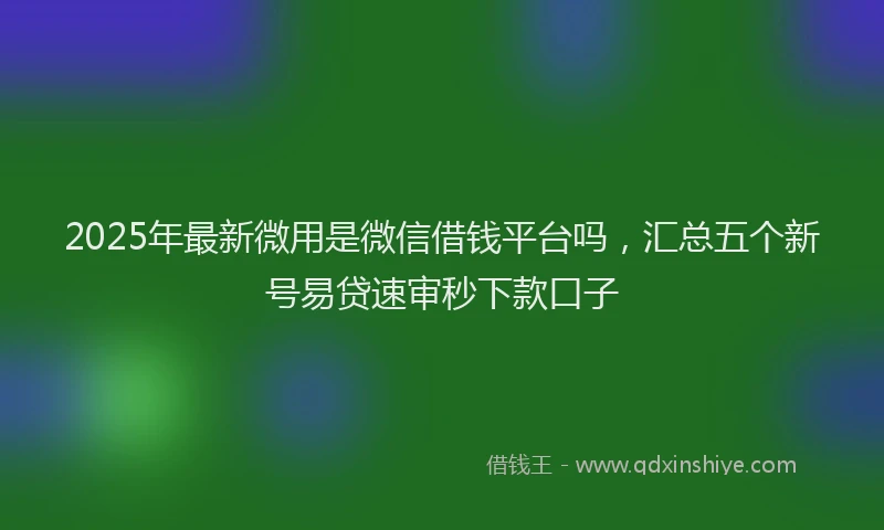 2025年最新微用是微信借钱平台吗，汇总五个新号易贷速审秒下款口子