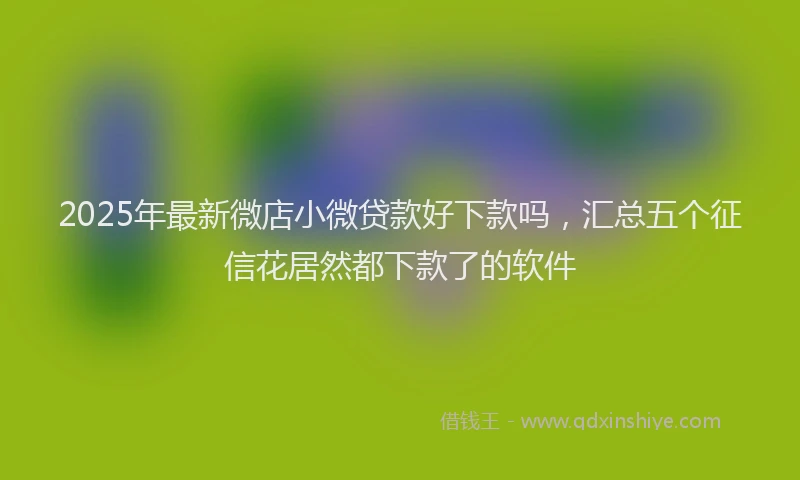 2025年最新微店小微贷款好下款吗，汇总五个征信花居然都下款了的软件