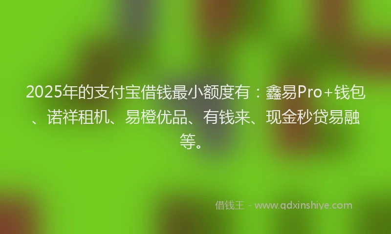 2025年的支付宝借钱最小额度有：鑫易Pro+钱包、诺祥租机、易橙优品、有钱来、现金秒贷易融等。