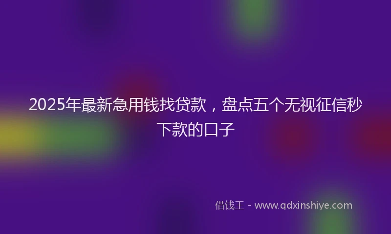 2025年最新急用钱找贷款，盘点五个无视征信秒下款的口子