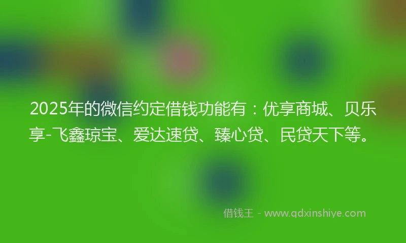 2025年的微信约定借钱功能有：优享商城、贝乐享-飞鑫琼宝、爱达速贷、臻心贷、民贷天下等。