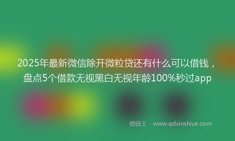 2025年最新微信除开微粒贷还有什么可以借钱，盘点5个借款无视黑白无视年龄100%秒过app