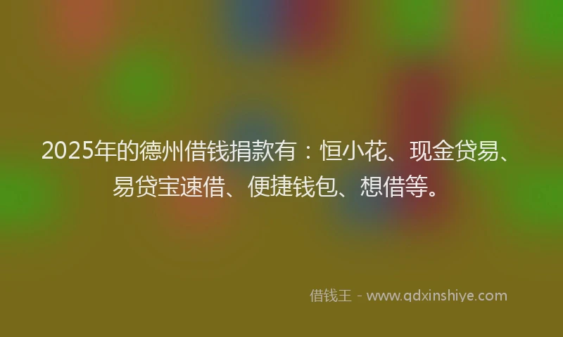 2025年的德州借钱捐款有：恒小花、现金贷易、易贷宝速借、便捷钱包、想借等。