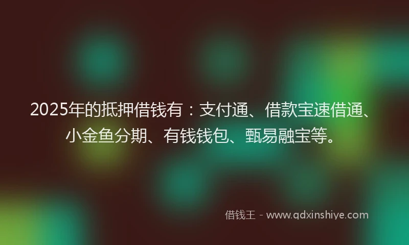 2025年的抵押借钱有：支付通、借款宝速借通、小金鱼分期、有钱钱包、甄易融宝等。