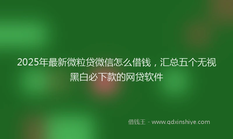2025年最新微粒贷微信怎么借钱，汇总五个无视黑白必下款的网贷软件