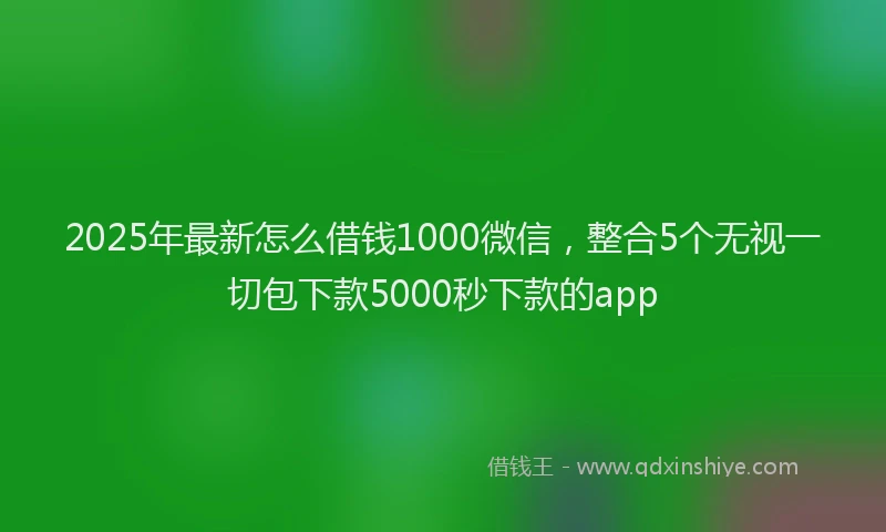 2025年最新怎么借钱1000微信，整合5个无视一切包下款5000秒下款的app
