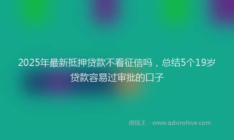 2025年最新抵押贷款不看征信吗，总结5个19岁贷款容易过审批的口子