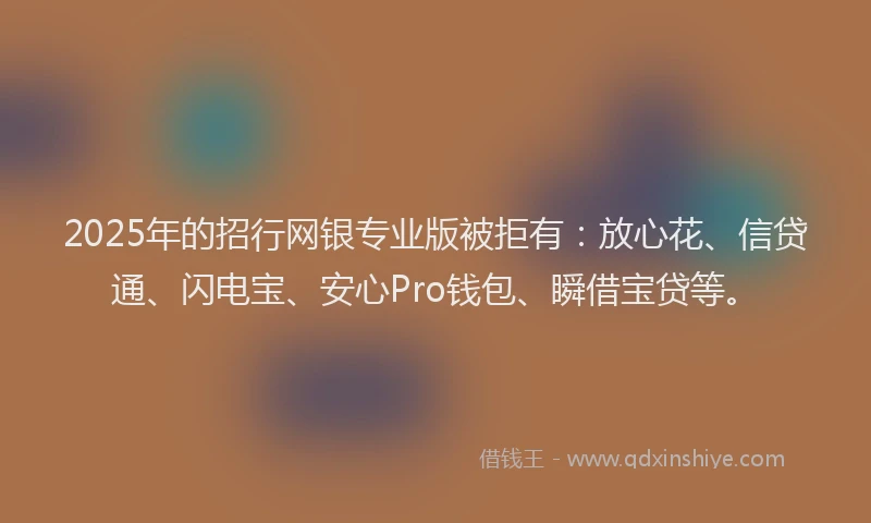 2025年的招行网银专业版被拒有：放心花、信贷通、闪电宝、安心Pro钱包、瞬借宝贷等。
