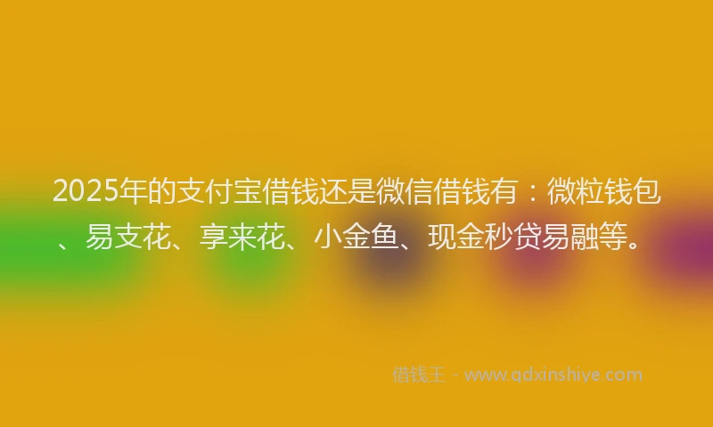2025年的支付宝借钱还是微信借钱有：微粒钱包、易支花、享来花、小金鱼、现金秒贷易融等。