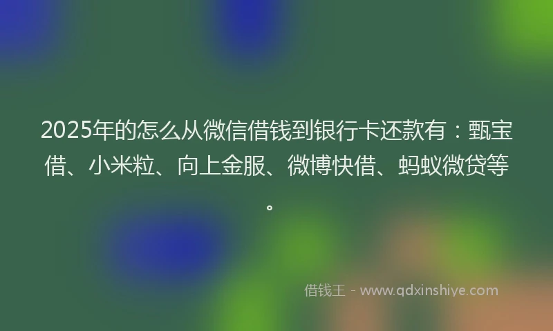 2025年的怎么从微信借钱到银行卡还款有：甄宝借、小米粒、向上金服、微博快借、蚂蚁微贷等。