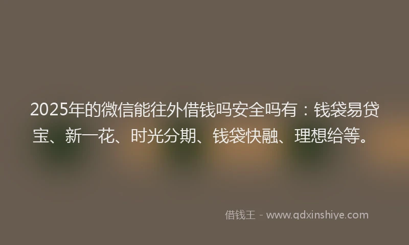 2025年的微信能往外借钱吗安全吗有：钱袋易贷宝、新一花、时光分期、钱袋快融、理想给等。