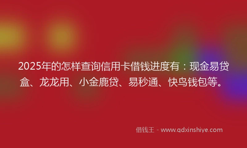 2025年的怎样查询信用卡借钱进度有：现金易贷盒、龙龙用、小金鹿贷、易秒通、快鸟钱包等。