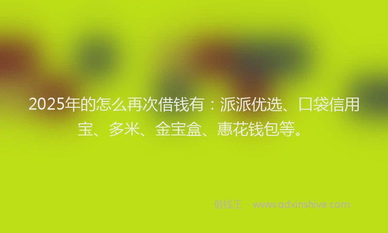 2025年的怎么再次借钱有：派派优选、口袋信用宝、多米、金宝盒、惠花钱包等。