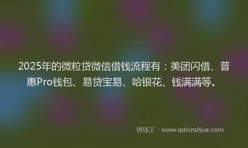 2025年的微粒贷微信借钱流程有：美团闪借、普惠Pro钱包、易贷宝易、哈银花、钱满满等。
