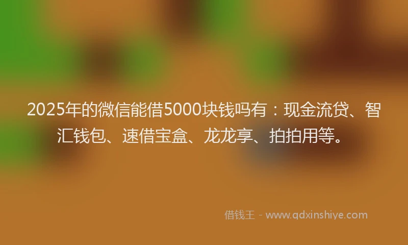2025年的微信能借5000块钱吗有：现金流贷、智汇钱包、速借宝盒、龙龙享、拍拍用等。
