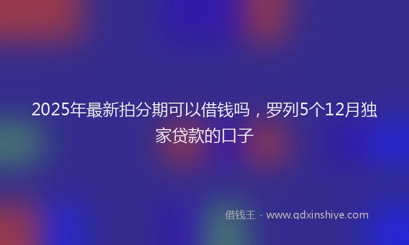 2025年最新拍分期可以借钱吗，罗列5个12月独家贷款的口子