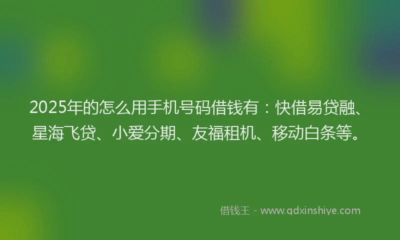 2025年的怎么用手机号码借钱有：快借易贷融、星海飞贷、小爱分期、友福租机、移动白条等。