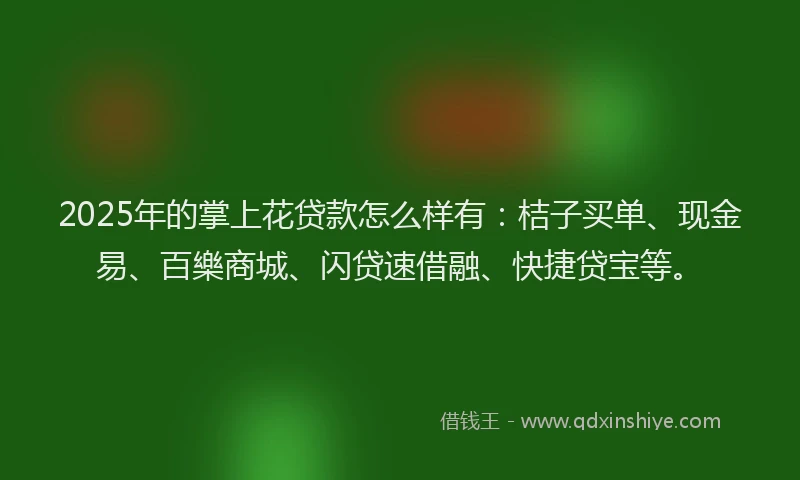 2025年的掌上花贷款怎么样有：桔子买单、现金易、百樂商城、闪贷速借融、快捷贷宝等。