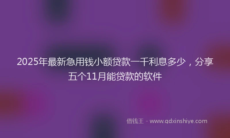 2025年最新急用钱小额贷款一千利息多少，分享五个11月能贷款的软件