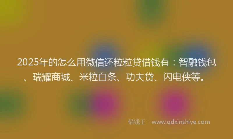 2025年的怎么用微信还粒粒贷借钱有：智融钱包、瑞耀商城、米粒白条、功夫贷、闪电侠等。