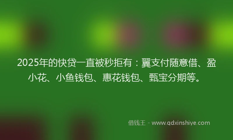 2025年的快贷一直被秒拒有：翼支付随意借、盈小花、小鱼钱包、惠花钱包、甄宝分期等。