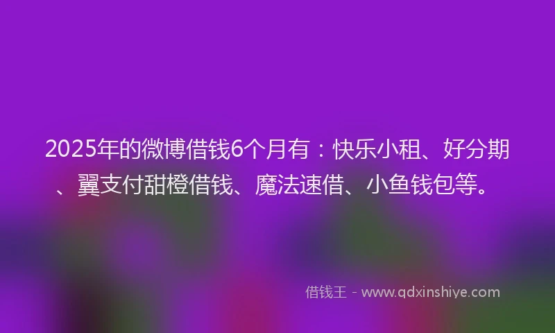 2025年的微博借钱6个月有：快乐小租、好分期、翼支付甜橙借钱、魔法速借、小鱼钱包等。