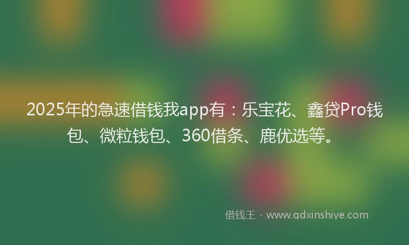 2025年的急速借钱我app有：乐宝花、鑫贷Pro钱包、微粒钱包、360借条、鹿优选等。