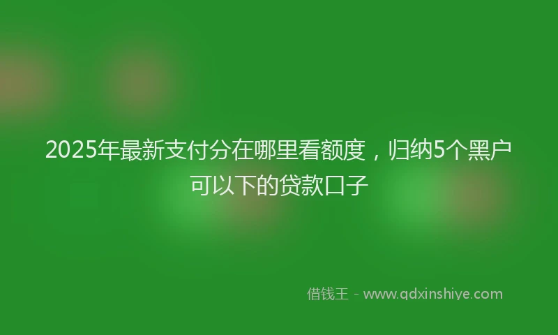 2025年最新支付分在哪里看额度，归纳5个黑户可以下的贷款口子