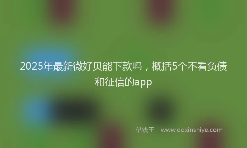 2025年最新微好贝能下款吗，概括5个不看负债和征信的app