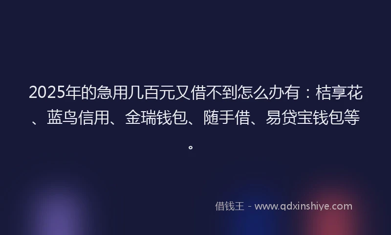 2025年的急用几百元又借不到怎么办有：桔享花、蓝鸟信用、金瑞钱包、随手借、易贷宝钱包等。