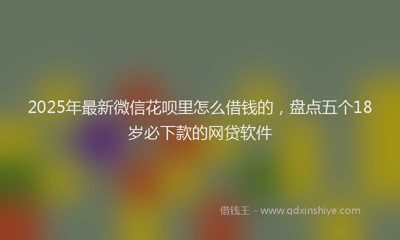 2025年最新微信花呗里怎么借钱的，盘点五个18岁必下款的网贷软件