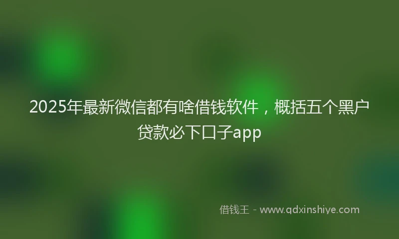 2025年最新微信都有啥借钱软件，概括五个黑户贷款必下口子app