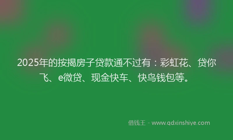 2025年的按揭房子贷款通不过有：彩虹花、贷你飞、e微贷、现金快车、快鸟钱包等。