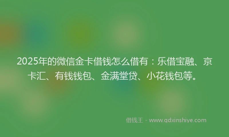 2025年的微信金卡借钱怎么借有：乐借宝融、京卡汇、有钱钱包、金满堂贷、小花钱包等。